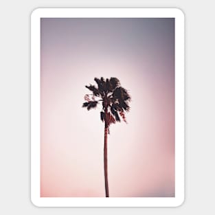 Tropical landscape palm, Pink, Nature print Sticker